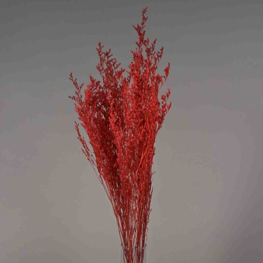 Limonium stabilizzato - 78 Cm / Rosso