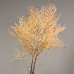 Dream grass stabilizzata - 70 Cm / Rosa