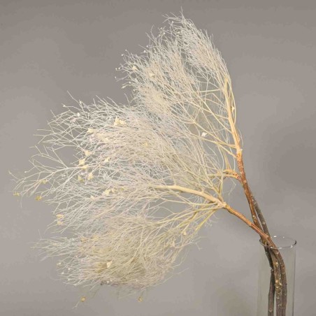 Dream grass stabilizzata - 70 Cm / Bianco