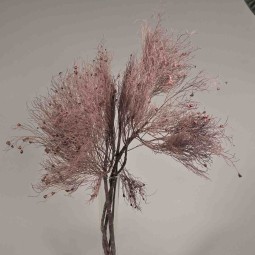 Dream grass stabilizzata - 70 Cm / Viola