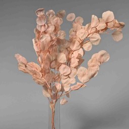 Populus stabilizzato - 68 Cm / Rosa