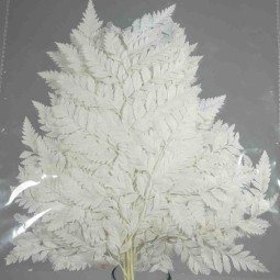 Felce "Holly" stabilizzata - 47 Cm / Bianca