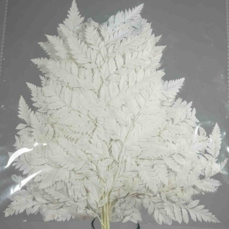 Felce "Holly" stabilizzata - 47 Cm / Bianca