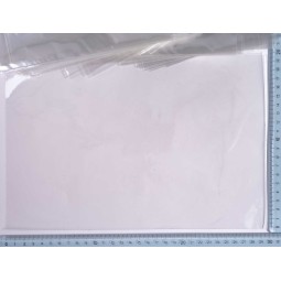 Sacchetti trasparenti 100 Pezzi - 20x30 Cm