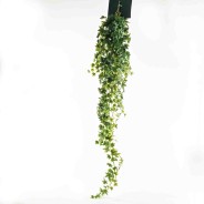 Edera in mazzo - 125 Cm / Ghiacciata