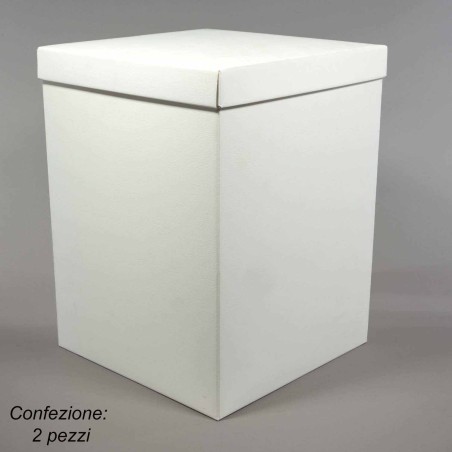 Scatole in cartoncino 2 PZ - 30x30x40 Cm / Bianco