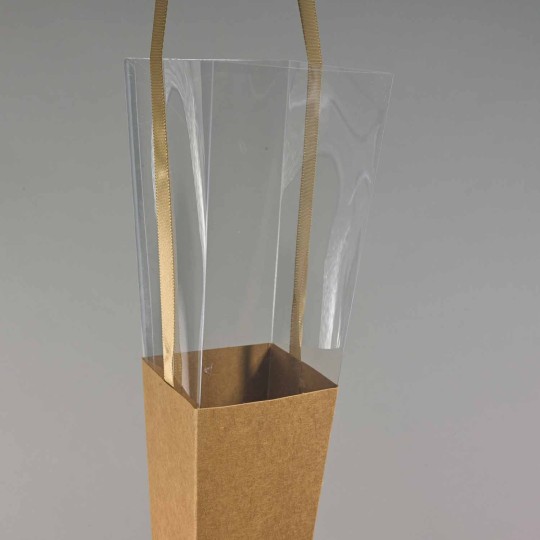 Coni in carta per Rosa 10 PZ - 7x53 Cm / Kraft