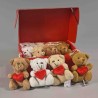 Orsetti in scatola 12 PZ - 8 Cm / Assortiti