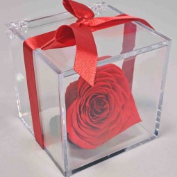 Rosa stabilizzata a cuore con cubo in plexiglass - Rosso RED-02