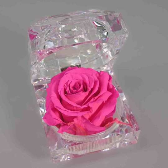 Rosa Stabilizzata "Diamante" - Fuxia JWL PIN-07