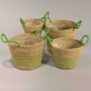 Cesti decorativi "Erba" - Set 4 Pezzi / Assortito