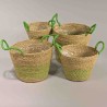 Cesti decorativi "Erba" - Set 4 Pezzi / Assortito