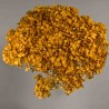 Ortensia stabilizzata "Annabelle" - Giallo mimosa