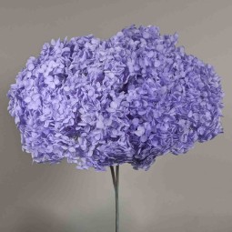 Ortensia stabilizzata "Annabelle" - Lilla