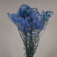 Gypsophila stabilizzata - 68 Cm / Blu cobalto