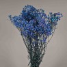 Gypsophila stabilizzata - 68 Cm / Blu cobalto