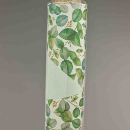 Bobina "Mini" in PPL - 1x25 M / Verde menta