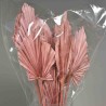 Palma in stelo 10 Pezzi - Rosa