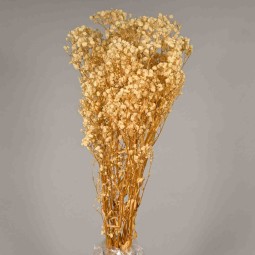 Gypsophila stabilizzata - Sbiancata