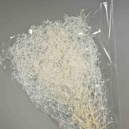 Mini Gypsophila stabilizzata - Bianco
