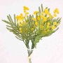 Mimosa in mazzetto - 30 Cm