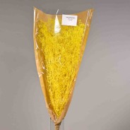 Gipsophila essiccata  50 G - Giallo