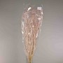 Ombrellifera essiccata - 120 G / Rosa