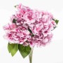 Ortensia in mazzo - 45 Cm / Rosa