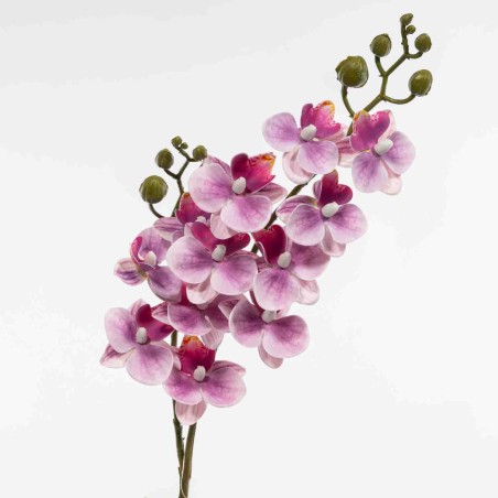 Mini Phaleonopsis in ramo - 60 Cm / Lavanda