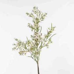 Fiore di Colza in ramo - 83 Cm / Bianco