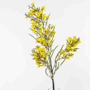Fiore di Colza in ramo - 83 Cm / Giallo