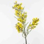 Fiore di Colza in ramo - 83 Cm / Giallo