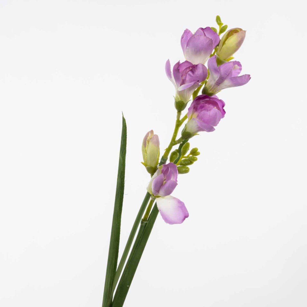 Fresia in ramo - 55 Cm / Lilla