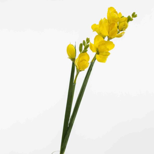 Fresia in ramo - 55 Cm / Giallo