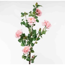 Rose in ramo - 108 Cm / Rosa chiaro