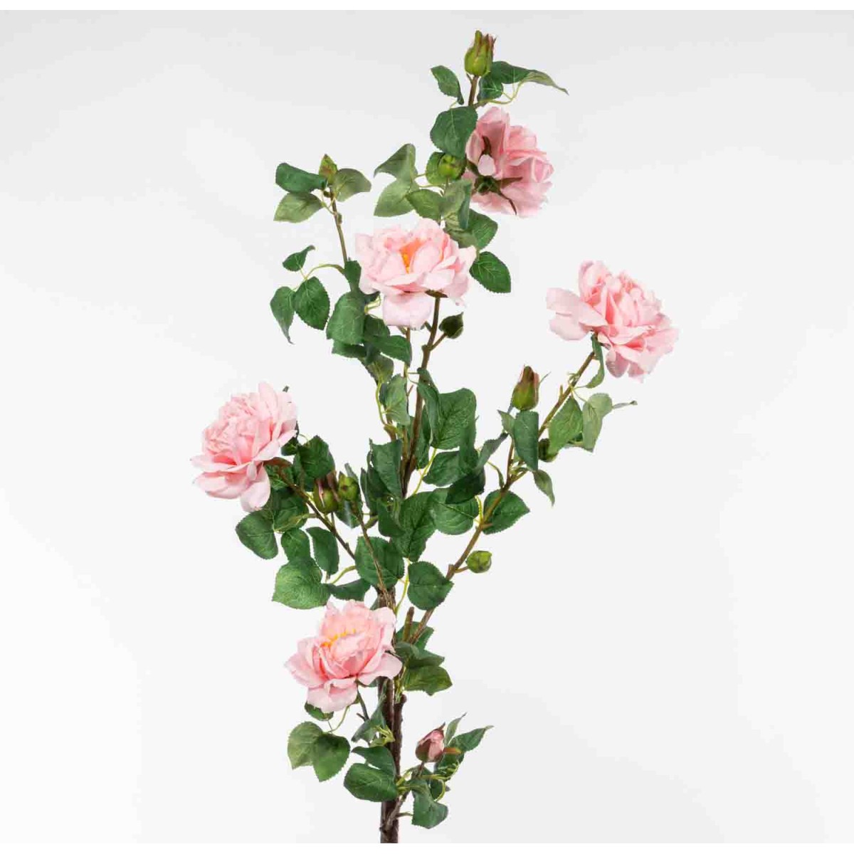 Rose in ramo - 108 Cm / Rosa chiaro