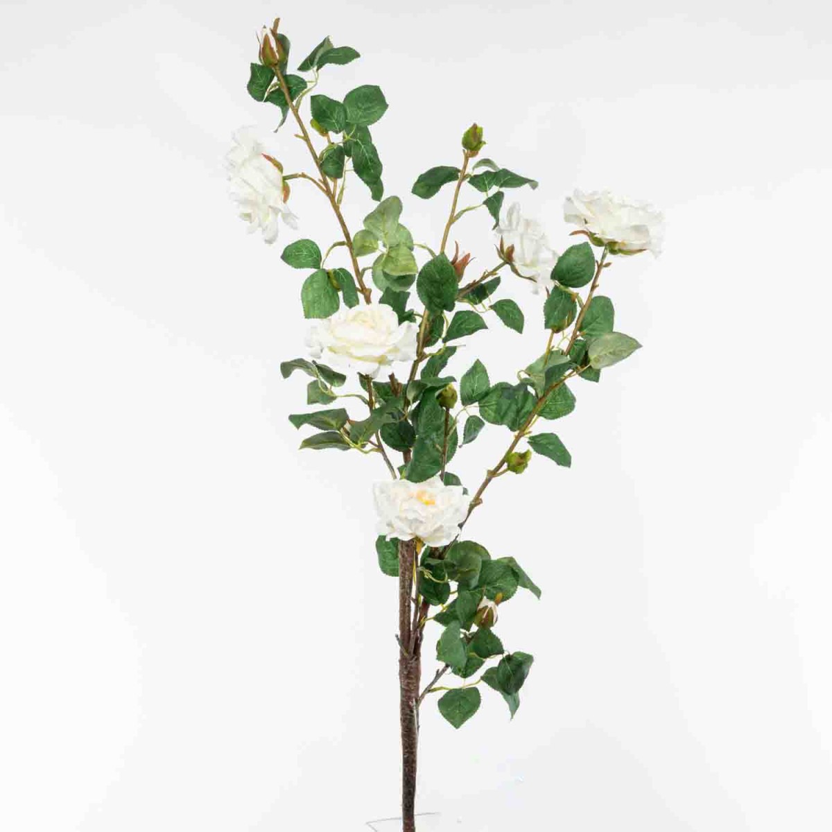 Rose in ramo - 108 Cm / Bianco