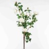 Rose in ramo - 108 Cm / Bianco