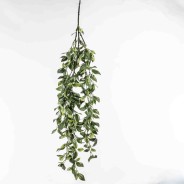 Tradescantia in mazzo cadente - 105 Cm / Verde