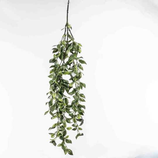 Tradescantia in mazzo cadente - 105 Cm / Verde