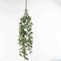 Tradescantia in mazzo cadente - 105 Cm / Verde