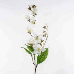 Clematis in ramo - 85 Cm / Bianco