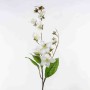 Clematis in ramo - 85 Cm / Bianco