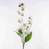 Clematis in ramo - 85 Cm / Bianco