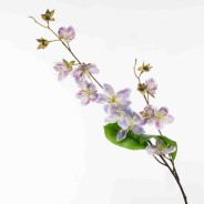 Clematis in ramo - 85 Cm / Lavanda