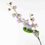 Clematis in ramo - 85 Cm / Lavanda