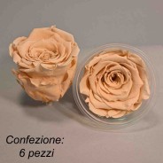 Rosa Stabilizzata in vari colori - Confezione 6 pezzi - Pesca PEA 01