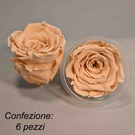 Rosa Stabilizzata in vari colori - Confezione 6 pezzi - Pesca PEA 01