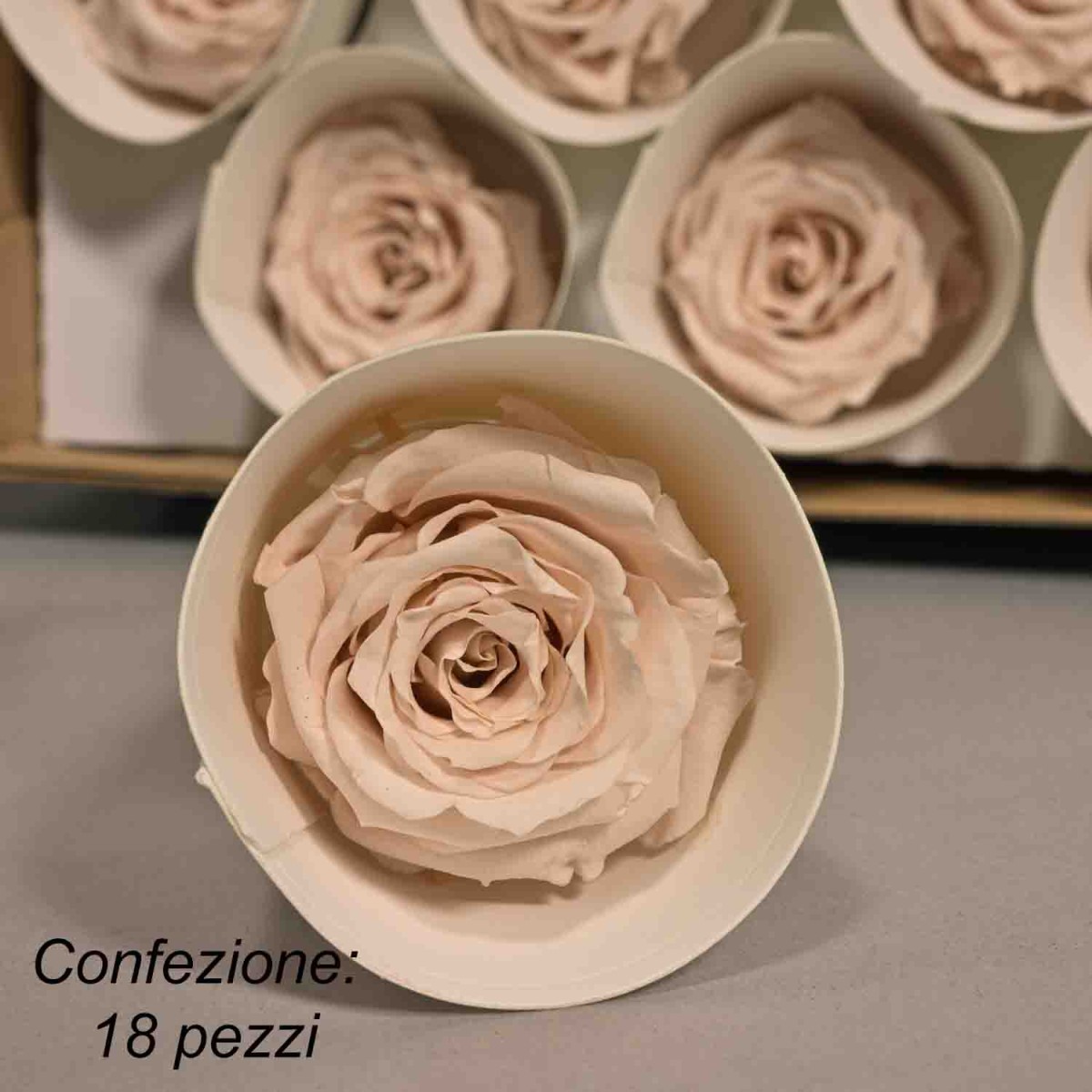 Rose Stabilizzate in vari colori - Confezione 18 pezzi - Rosa XS PIN 79