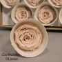 Rose Stabilizzate in vari colori - Confezione 18 pezzi - Rosa XS PIN 79